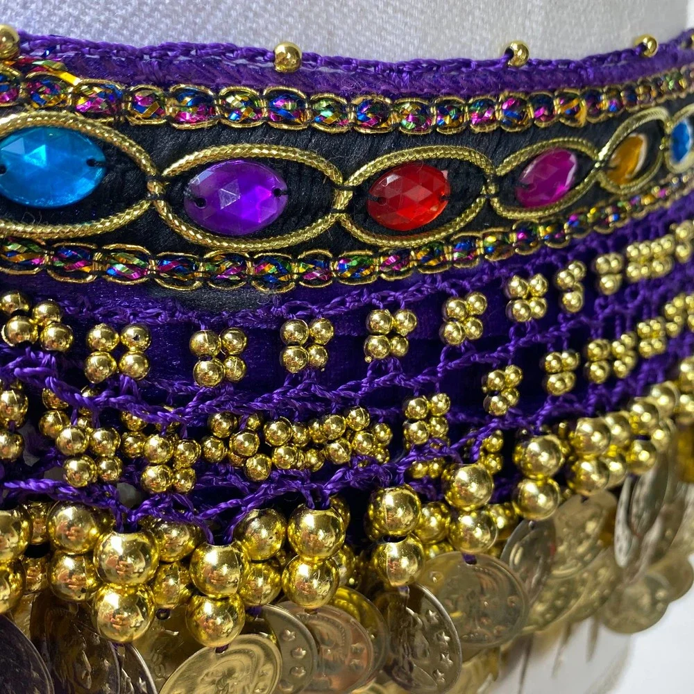 Belly Dancer Costume Purple Wig Jewel Coin Scarf Belt Festival Halloween Party - Picture 6 of 14